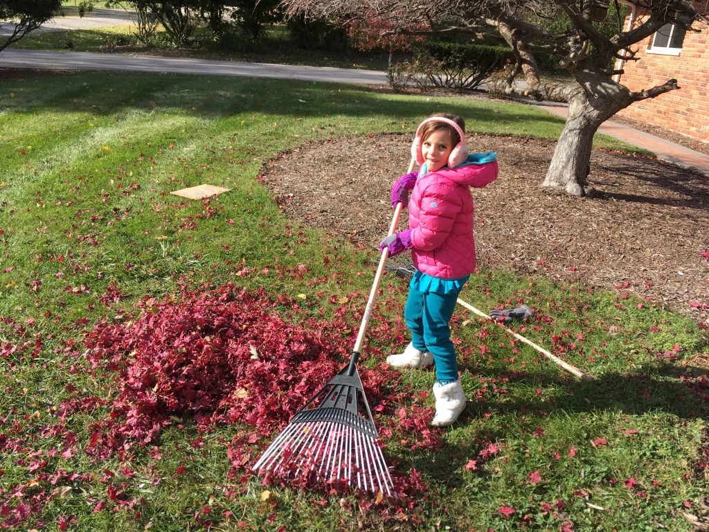 Zoey Raking Leaves