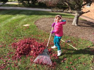 Zoey Raking Leaves