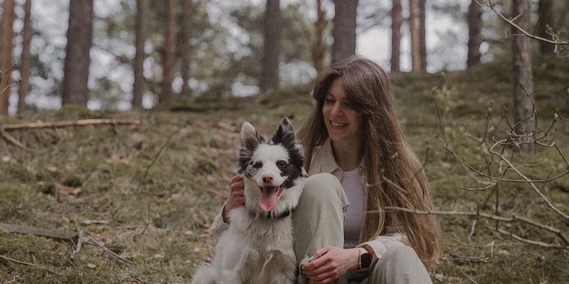 pet sitting in the woods