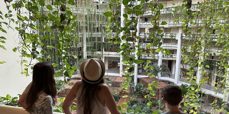 Paradisus Cancun Hotel Vines