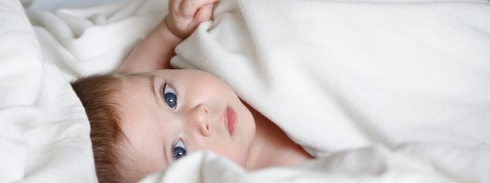 cropped-Is-a-Dependent-Care-FSA-Worth-It-Wordpress-1